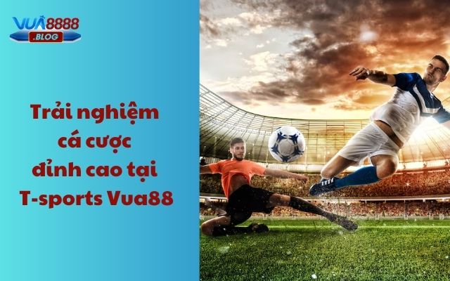 Trải nghiệm cá cược đỉnh cao tại T sports Vua88