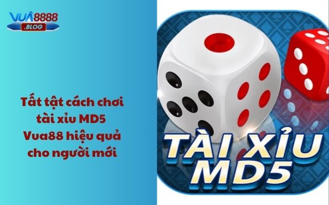 Tất tật cách tài xỉu MD5 Vua88 hiệu quả cho người mới